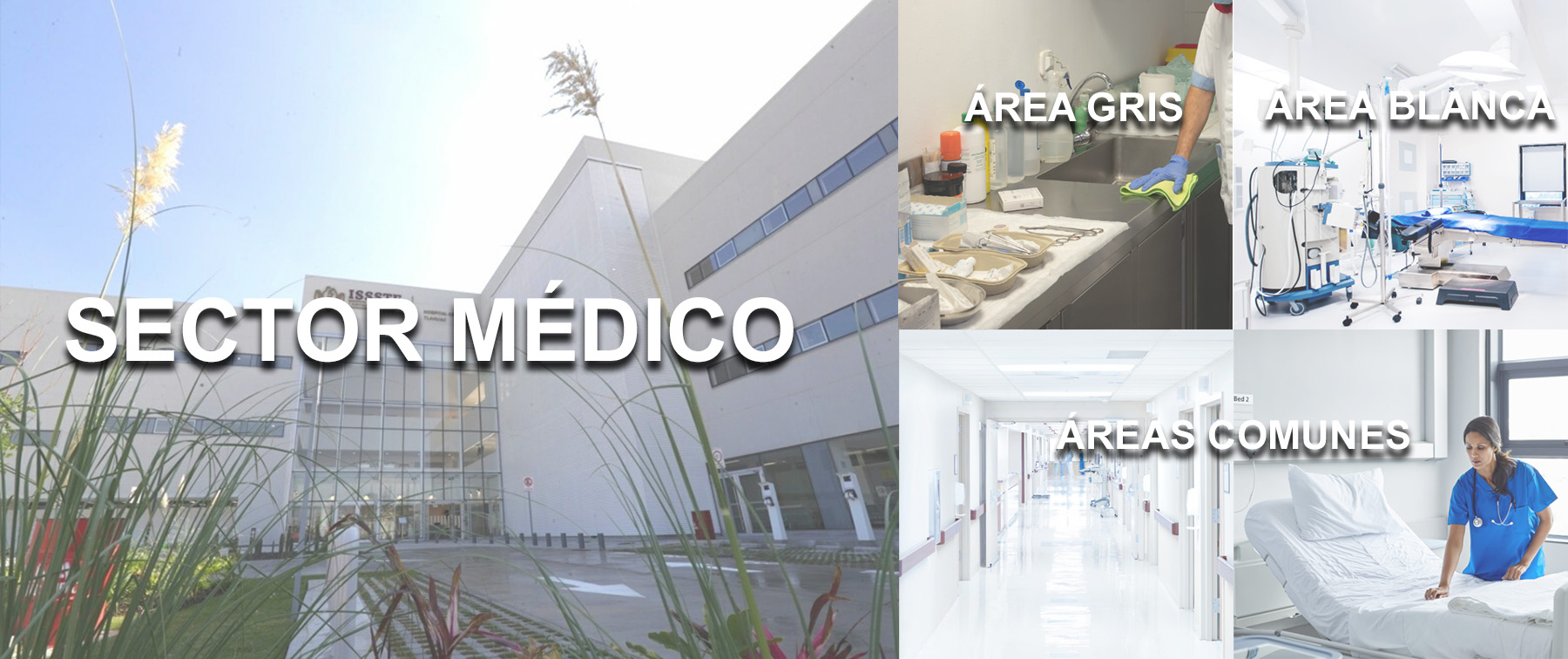 Distribuciones Zaragoza desinfeccion de